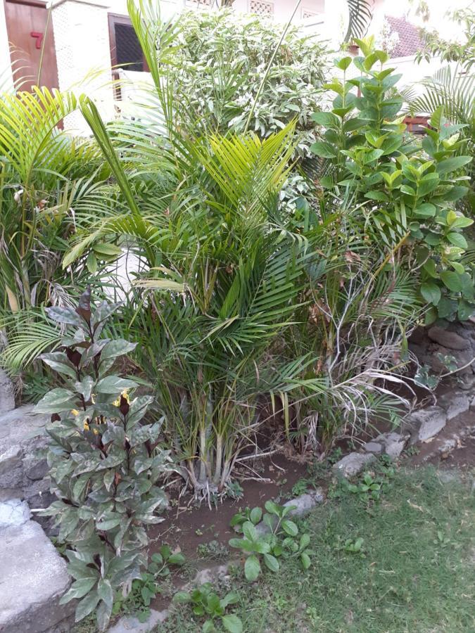 Double One Villas Amed II Ngoại thất bức ảnh